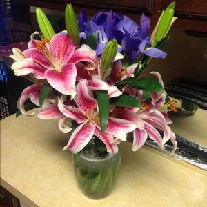 Meet your Posher, Elizabeth